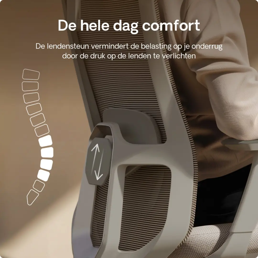 Desktronic SitOne Ergonomische Bureaustoel - Grijs