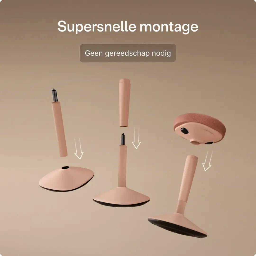 Desktronic Ergonomische Balanskruk Roze - ∅33cm