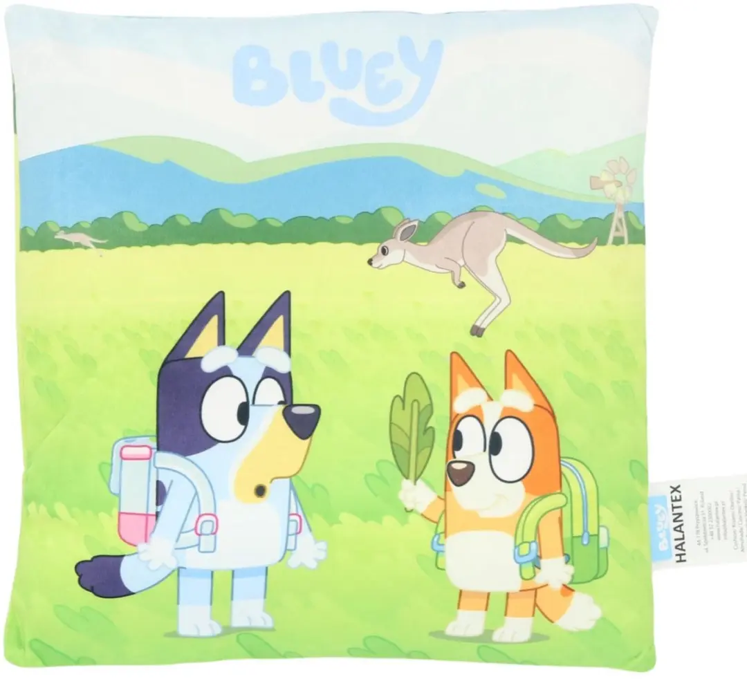 Bluey Sierkussen Green - afbeelding 5 van 6