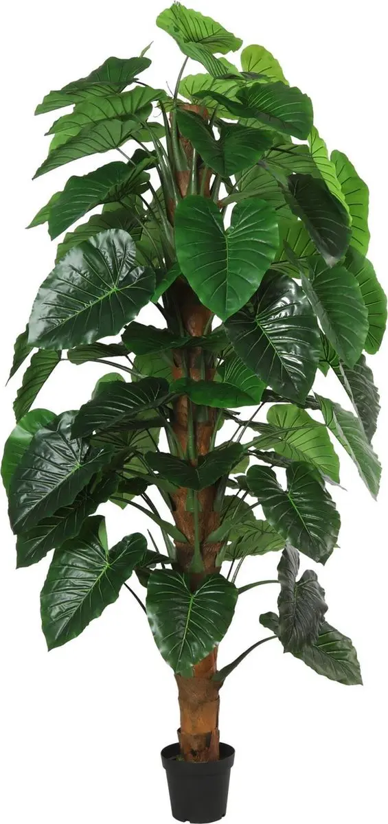 Countryfield Monstera Zijde Kunstplant 150cm - Groen - afbeelding 2 van 2