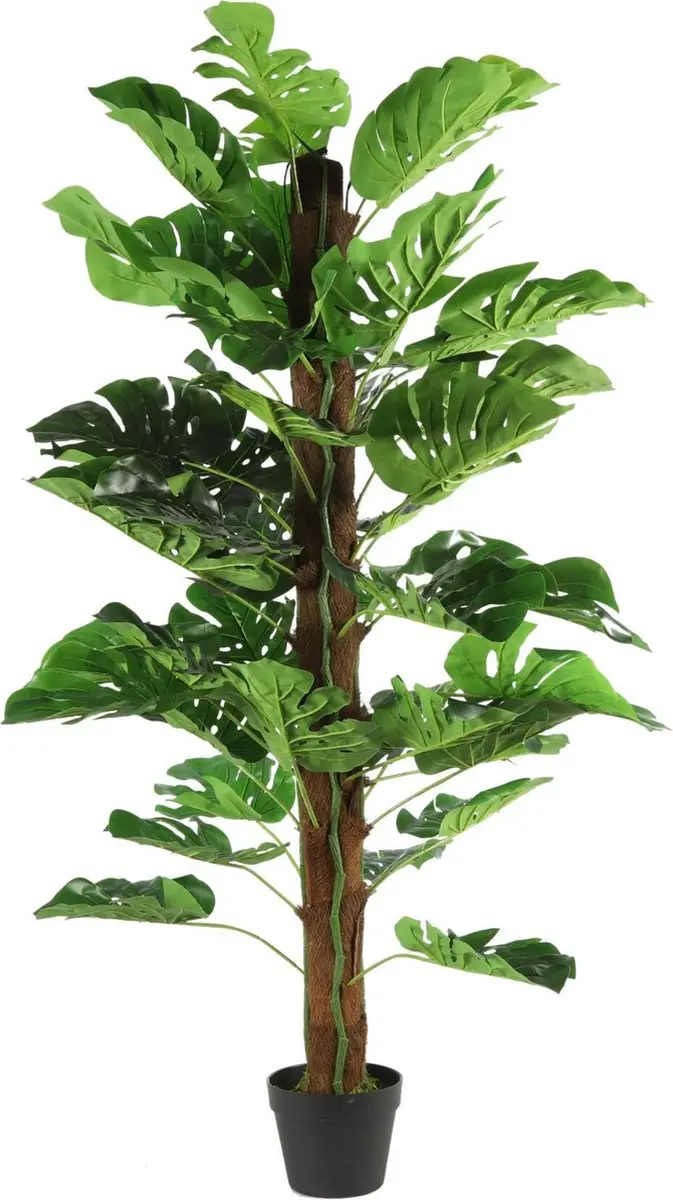 Countryfield Monstera Zijde Kunstplant 150cm