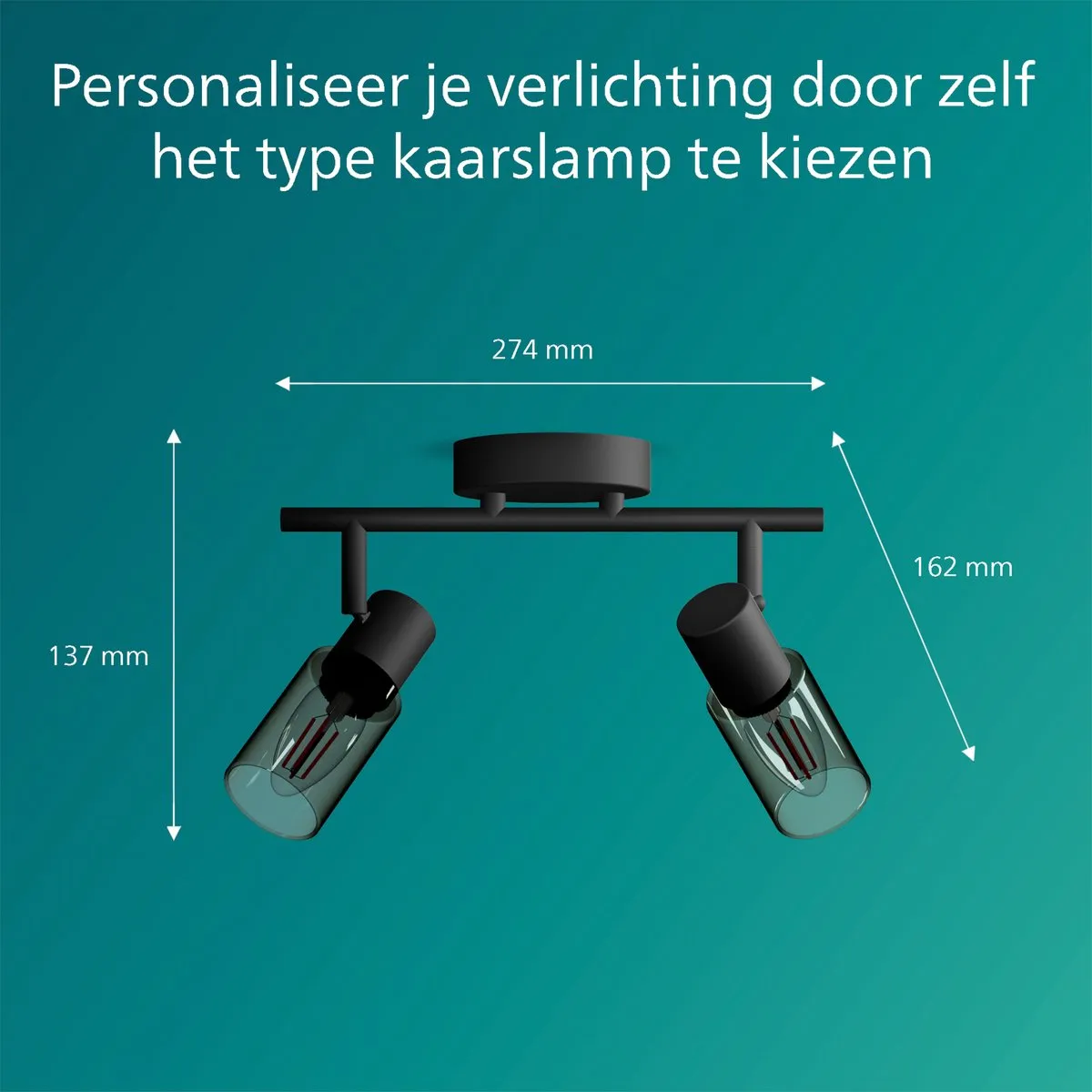 Philips Palms Spot Plafondspot 2x25W - Zwart