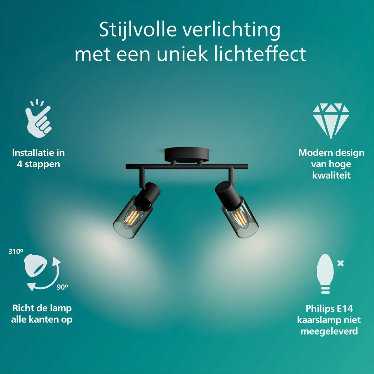 Philips Palms Spot Plafondspot 2x25W - Zwart