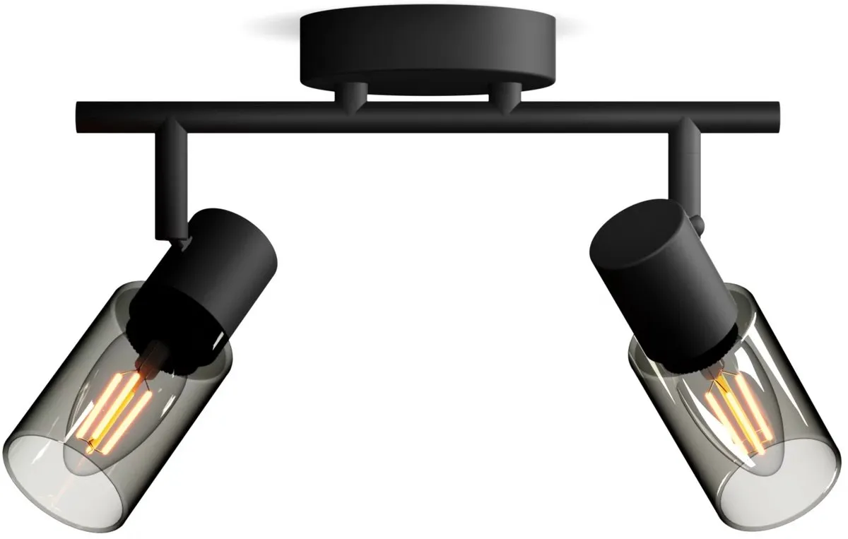 Philips Palms Spot Plafondspot 2x25W - Zwart