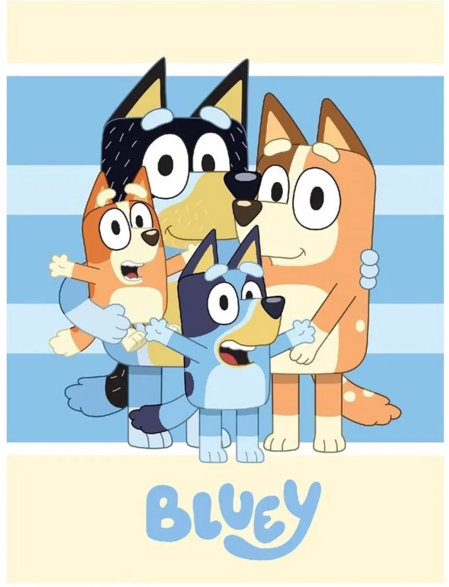 Bluey Slaapkamerset - Kussen & Fleece Deken Multi Colour - afbeelding 3 van 3