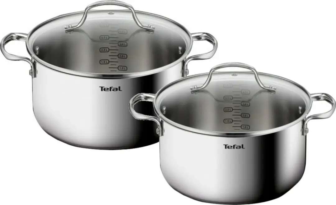 Tefal Infinite Pannenset 20/24 cm RVS
