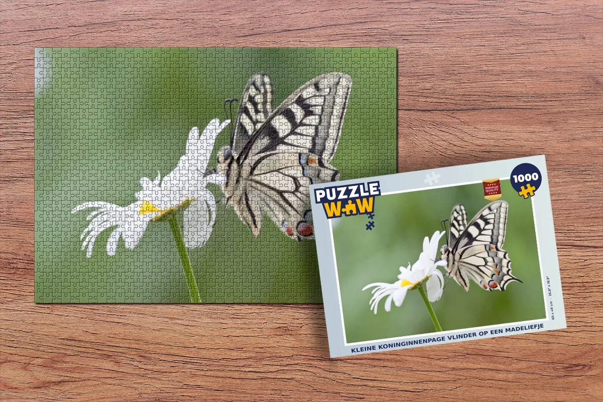 PuzzleWow Legpuzzel Kleine Koninginnenpage 1000 Stuks - Multicolor