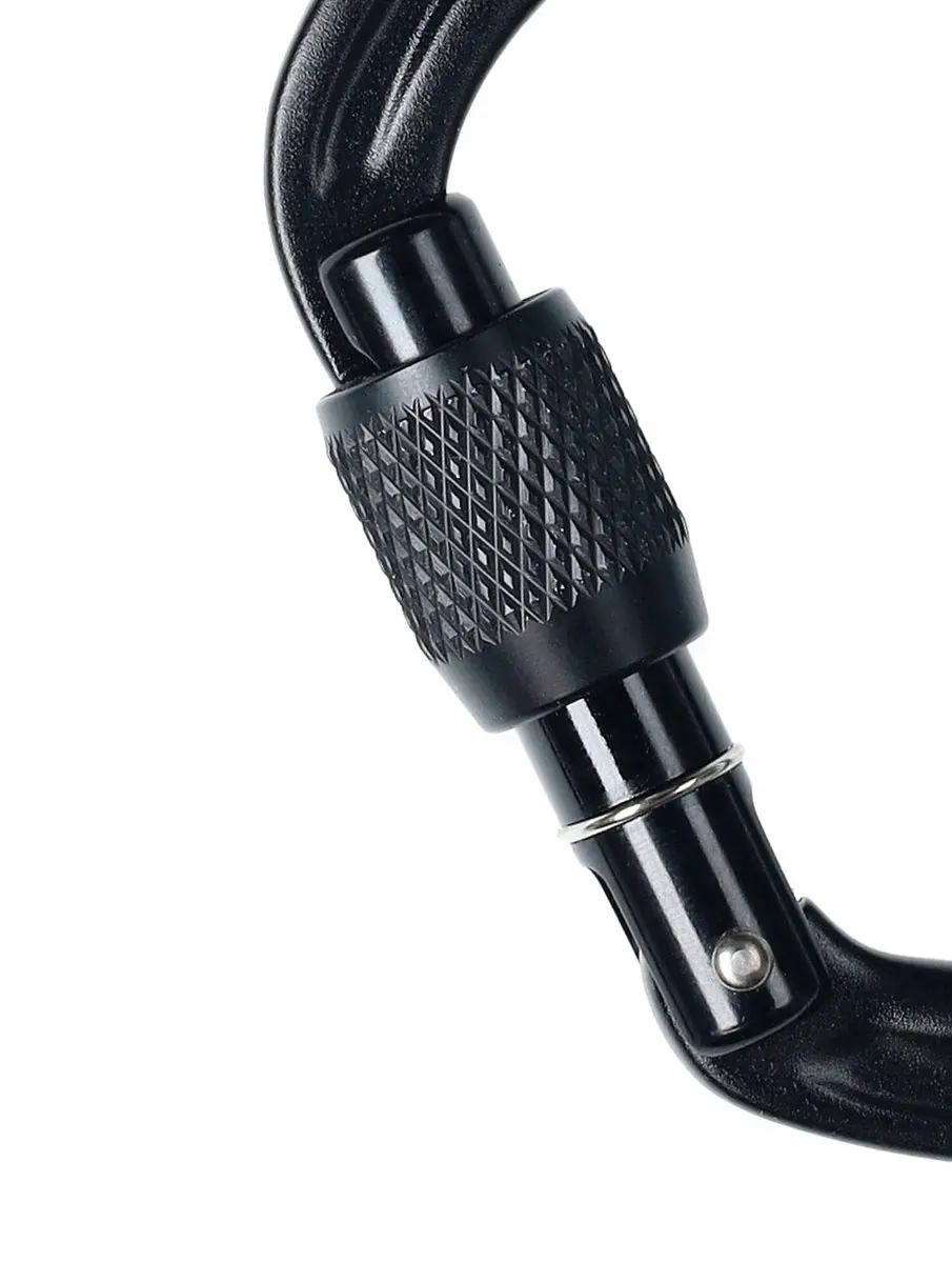 Black Diamond LiteForge Screwgate Karabijn - Zwart