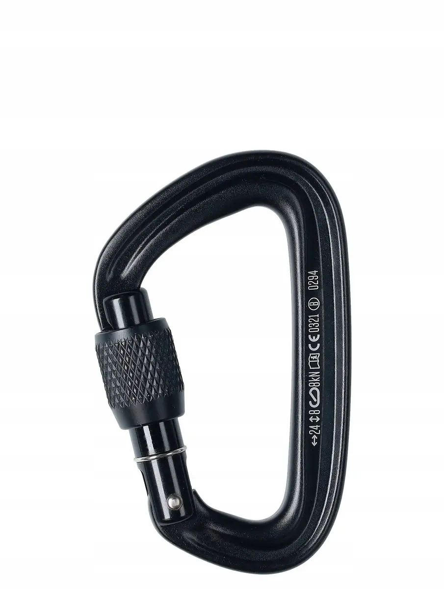 Black Diamond LiteForge Screwgate Karabijn - Zwart