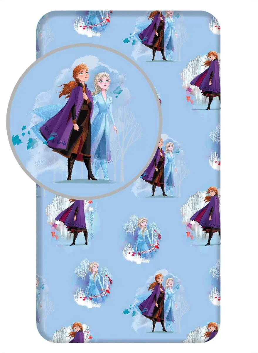Disney Frozen Hoeslaken Anna Elsa Eenpersoons 90x200cm