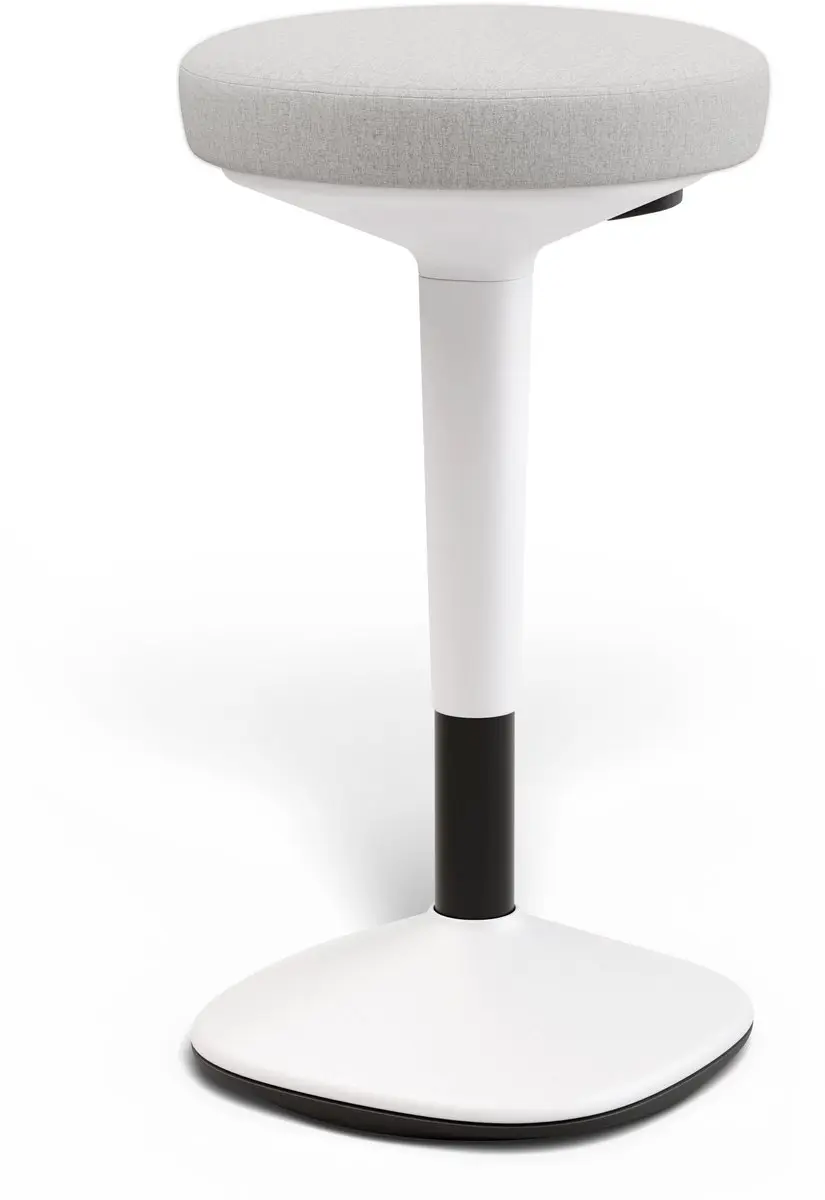 Desktronic Ergonomische Balanskruk
