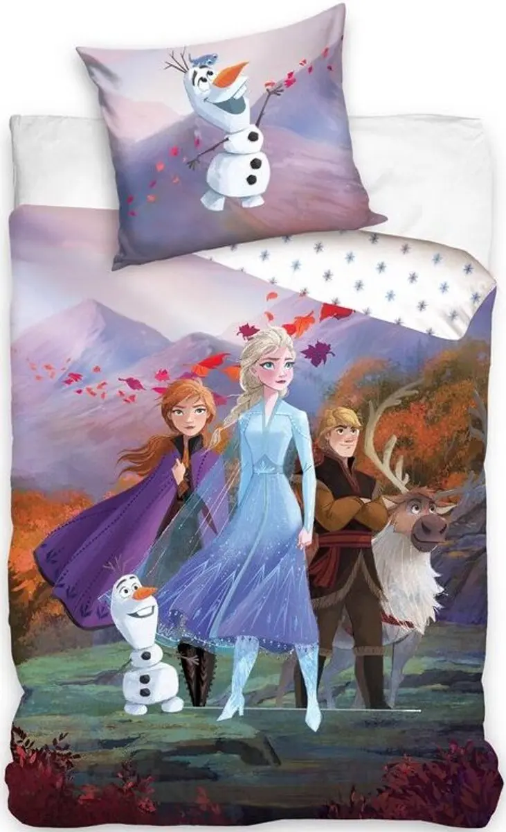 Disney Frozen Dekbedovertrek