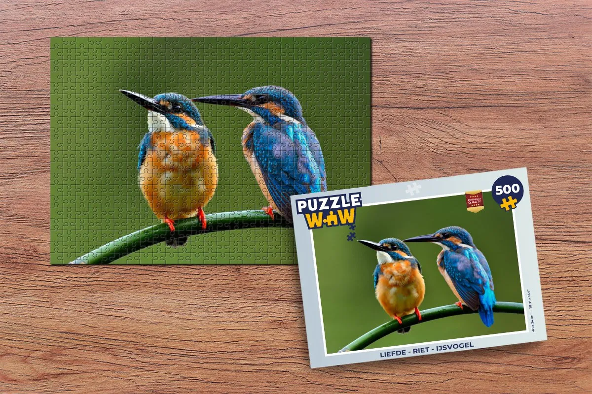 PuzzleWow Legpuzzel IJsvogel - 500 Stuks - Multicolor