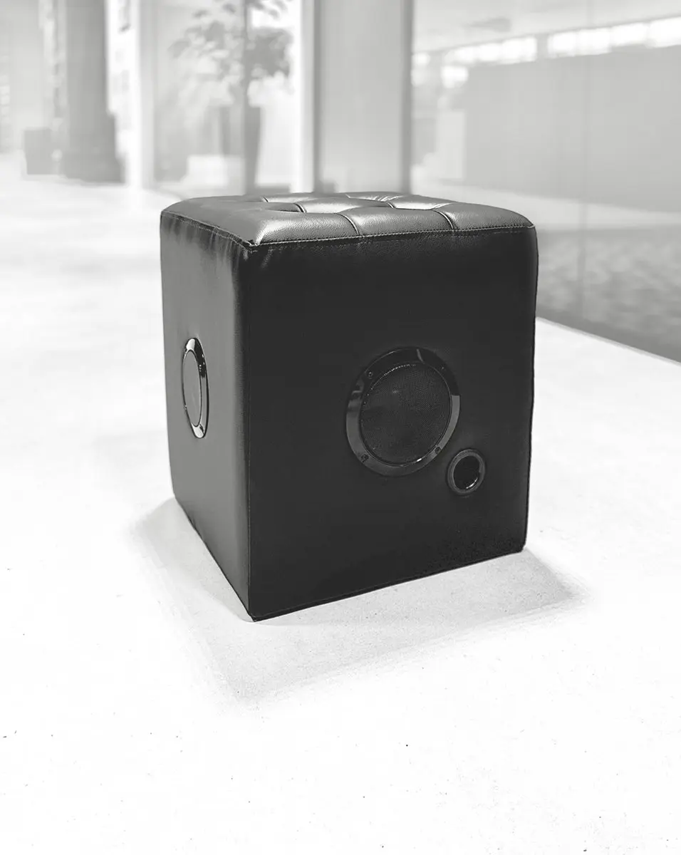 Caliber Poef met Bluetooth Speaker