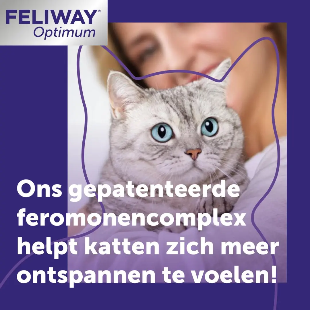 Feliway Optimum Startset - Verdamper + Flacon 48ml
