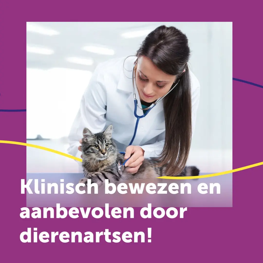 Feliway Help! Verdamper + Cartridge - 7 Dagen