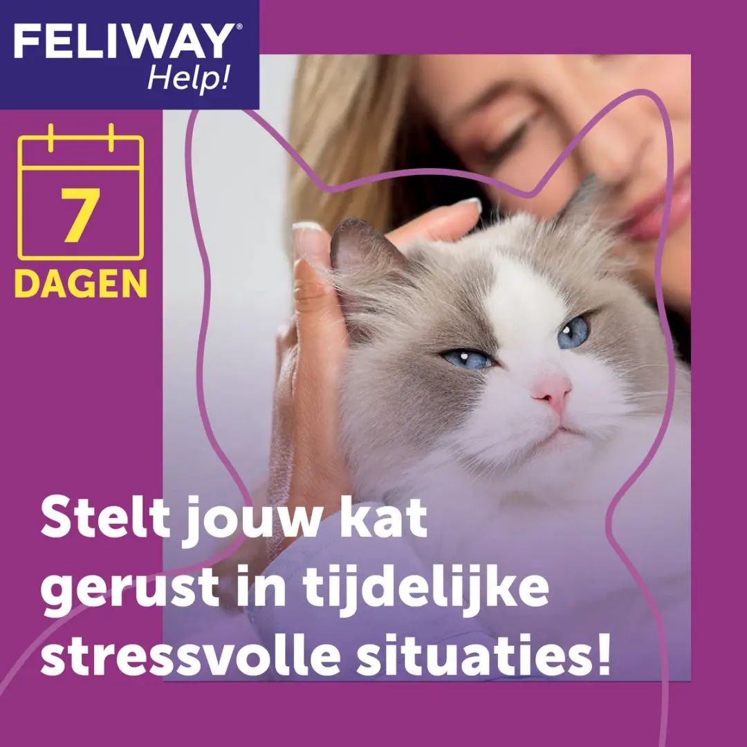 Feliway Help! Verdamper + Cartridge - 7 Dagen