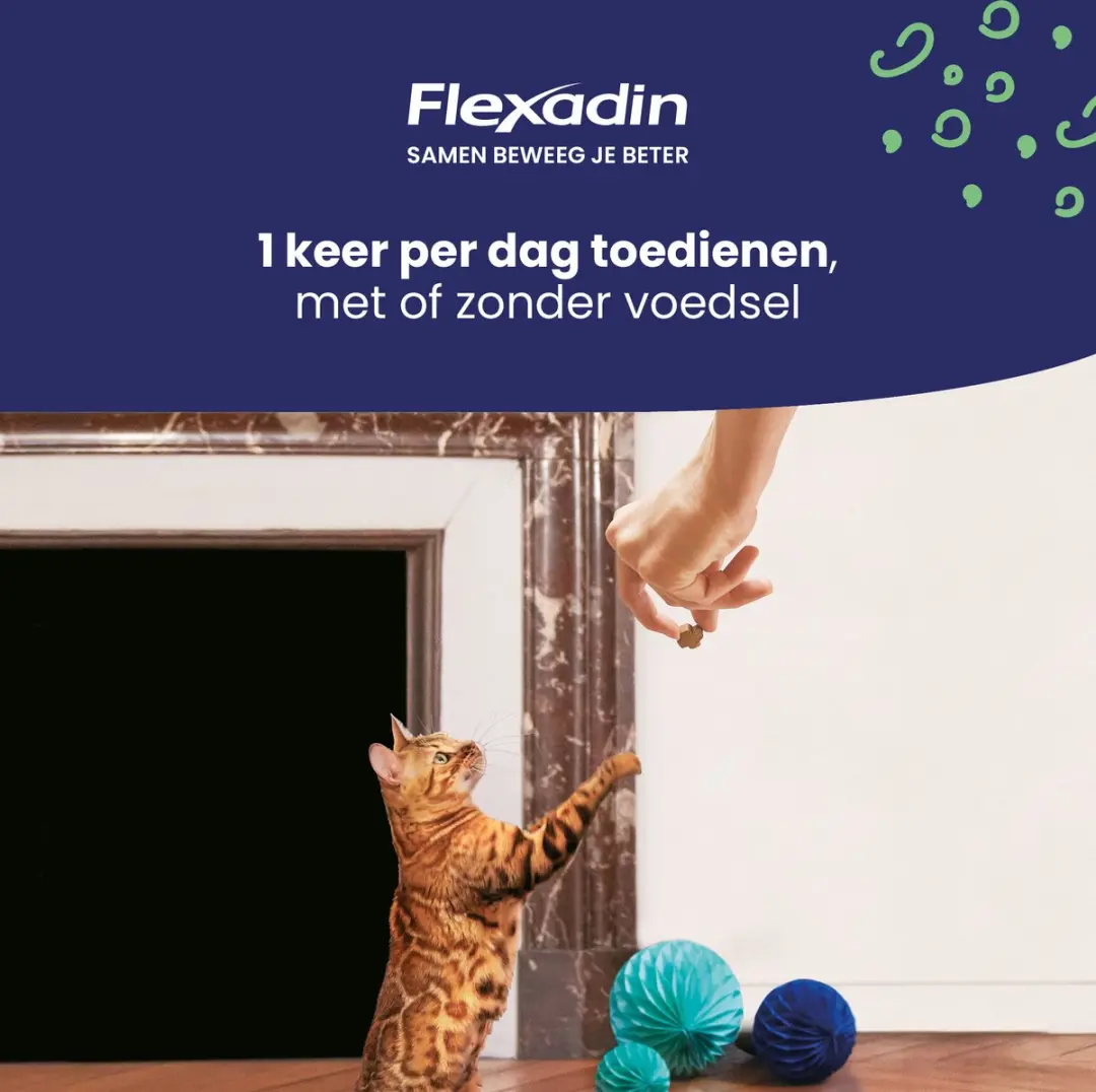 Flexadin Young Dog Maxi Kauwbrokjes 60 Stuks