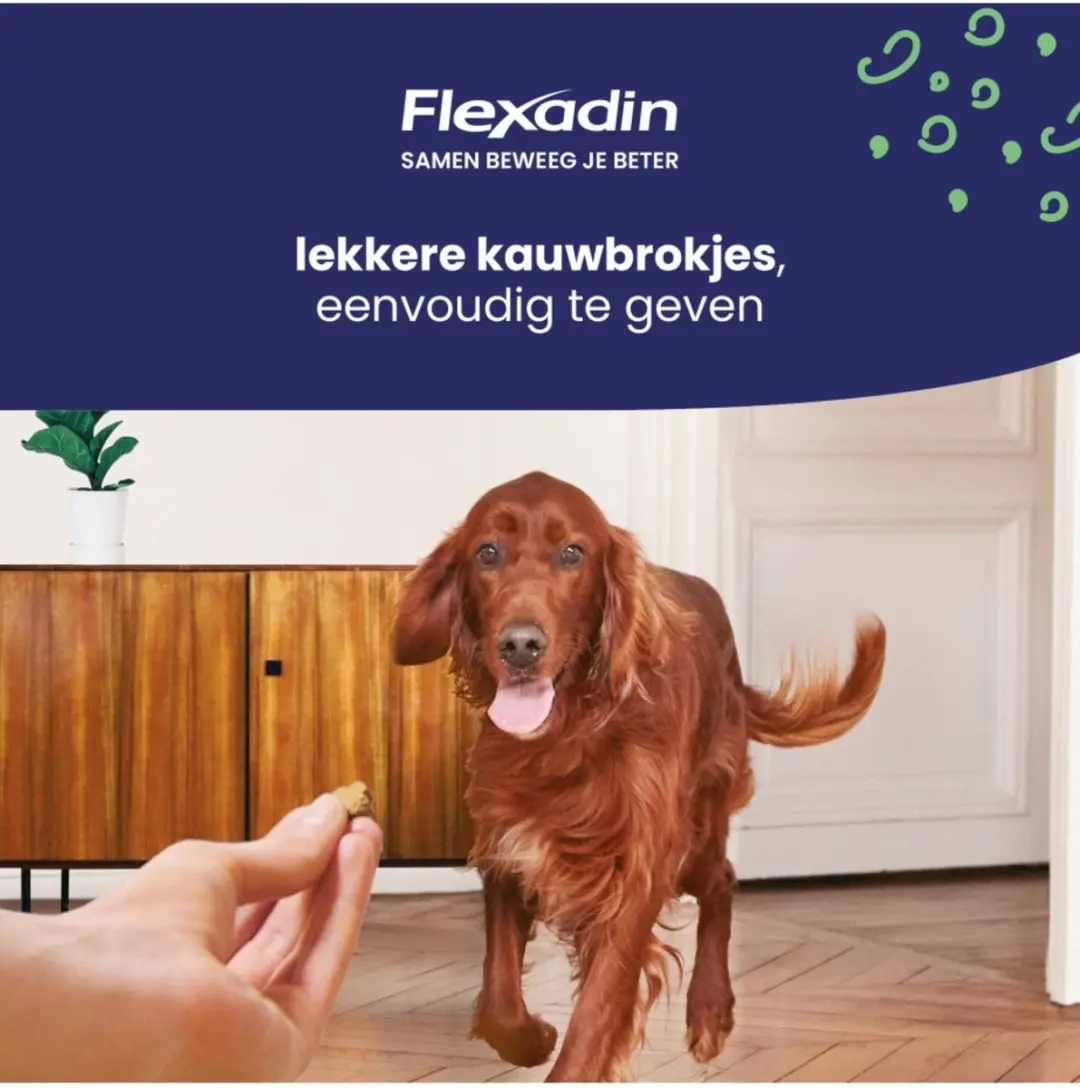 Flexadin Young Dog Maxi Kauwbrokjes 60 Stuks - afbeelding 6 van 6