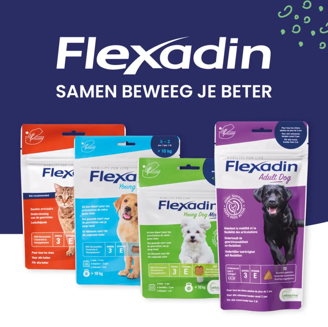 Flexadin Young Dog Mini Kauwbrokjes - 60 Stuks