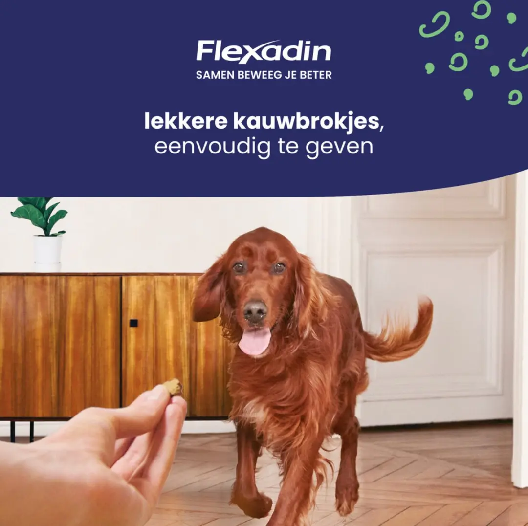 Flexadin Young Dog Mini Kauwbrokjes - 60 Stuks - afbeelding 6 van 6