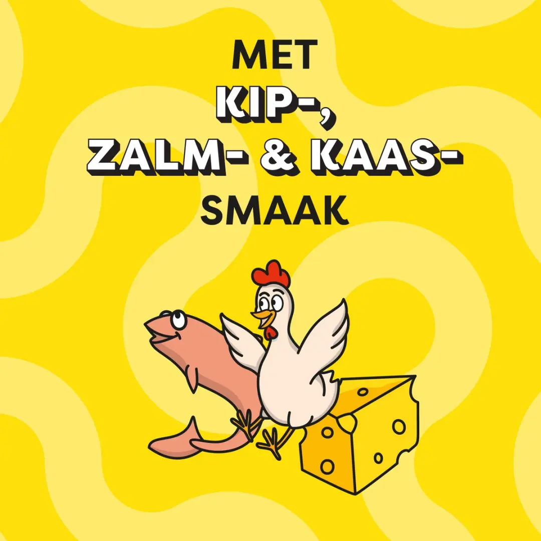 Catisfactions Kattensnacks Variety Box - Kip Kaas Zalm 12x60g