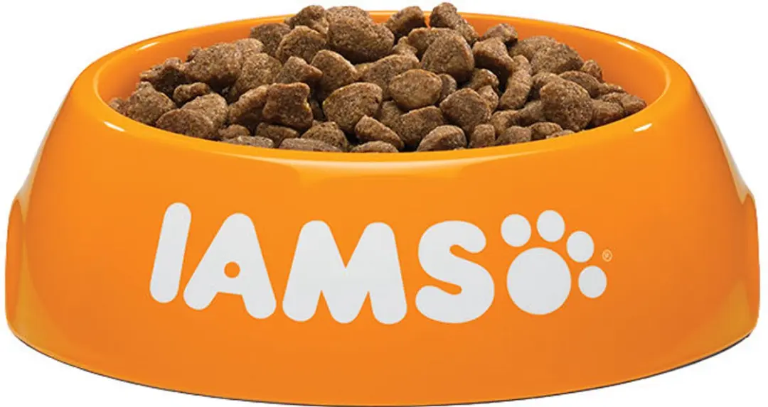 Iams Kat Adult Oceaanvis 1,5 kg