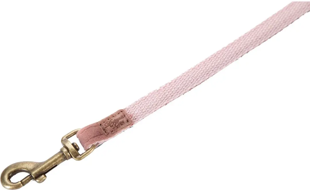 Designed by Lotte Velura Looplijn 120cm x 25mm - Groen