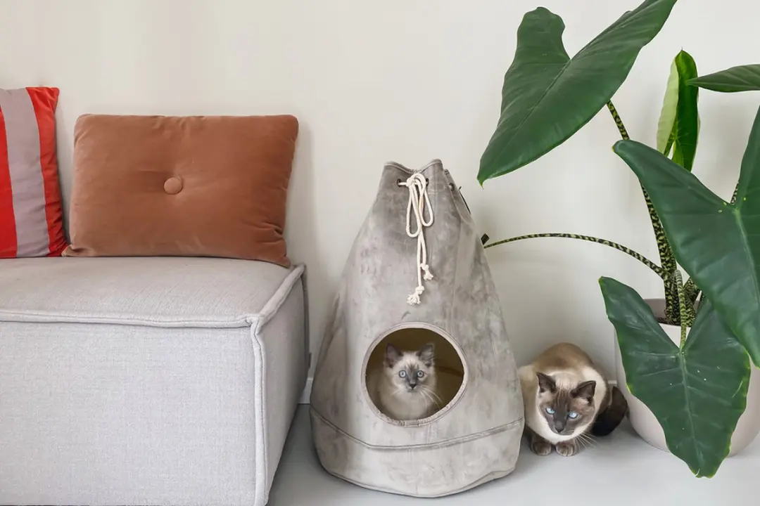 Designed by Lotte Vilar Kattenhuis - Grijs 45x45x60cm