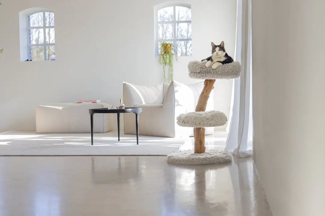 Designed by Lotte Krabpaal Zora Kattenboom - Hout - 2 Ligplekken - Grijs - 50x50x72cm