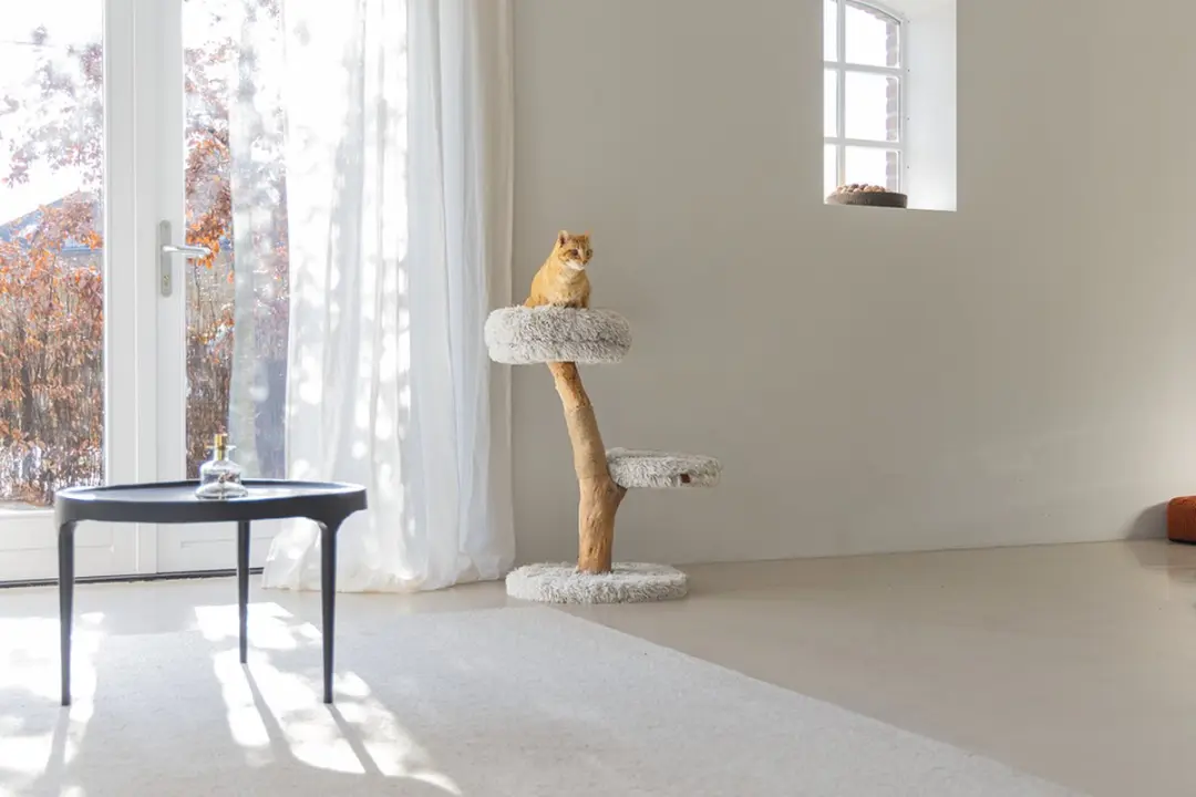 Designed by Lotte Krabpaal Zora Kattenboom - Hout - 2 Ligplekken - Grijs - 50x50x72cm