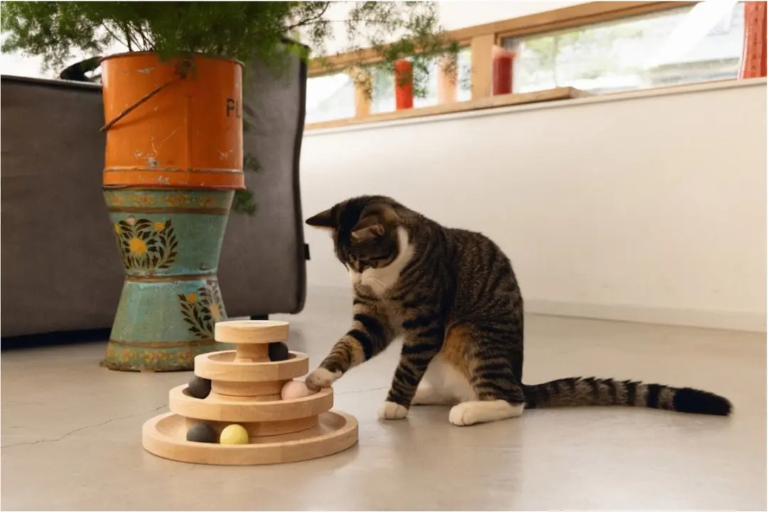 Designed by Lotte Speeltoren Mia Katten Speelgoed - Bruin
