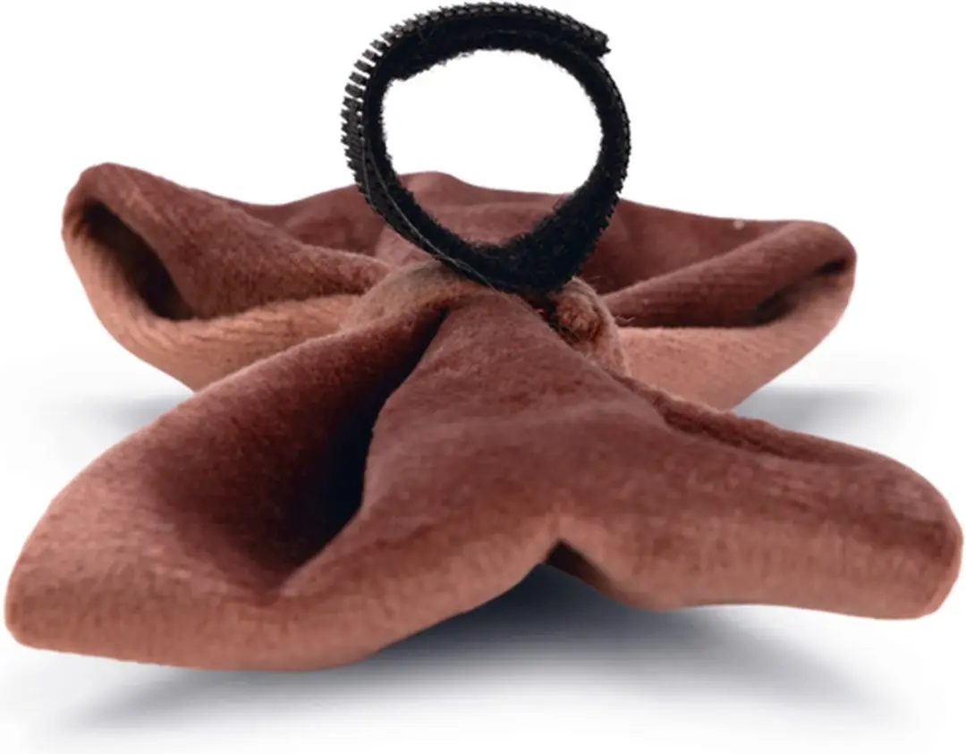 Designed by Lotte Hondenstrik Zaza