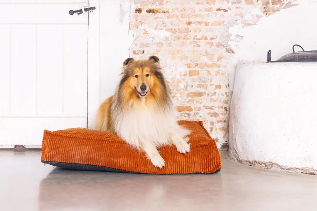 Designed by Lotte Ribbed Hondenkussen Terracotta - 120x80x15cm