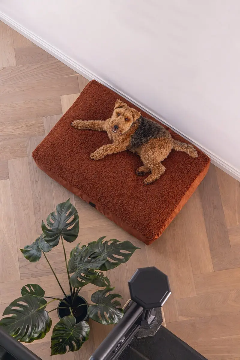 Designed by Lotte Yndis Hondenkussen - Terracotta 100x70x15cm