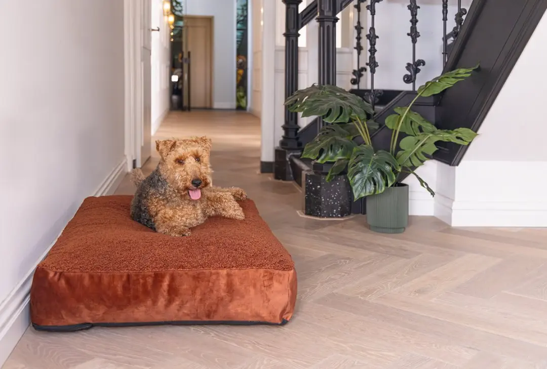 Designed by Lotte Yndis Hondenkussen - Terracotta 100x70x15cm