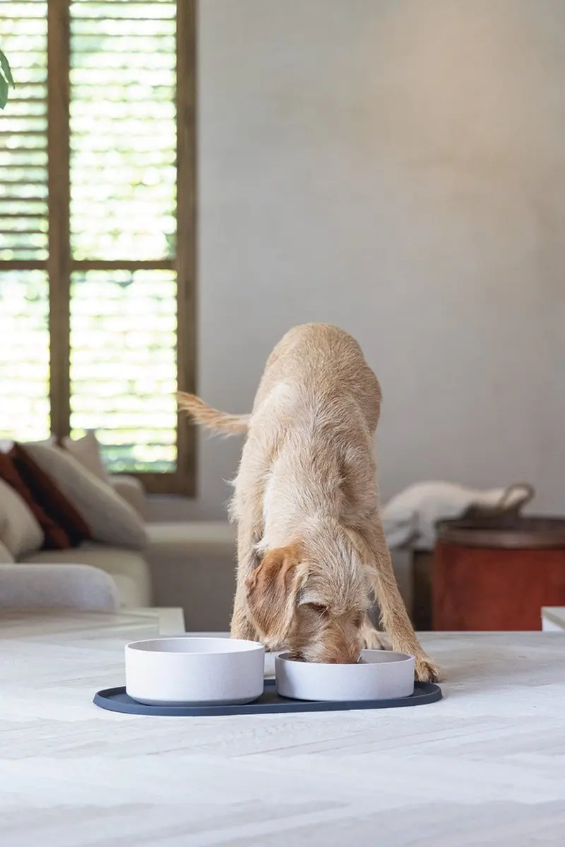 Designed by Lotte Oona Placemat Hond/Kat - Antraciet 55x30cm