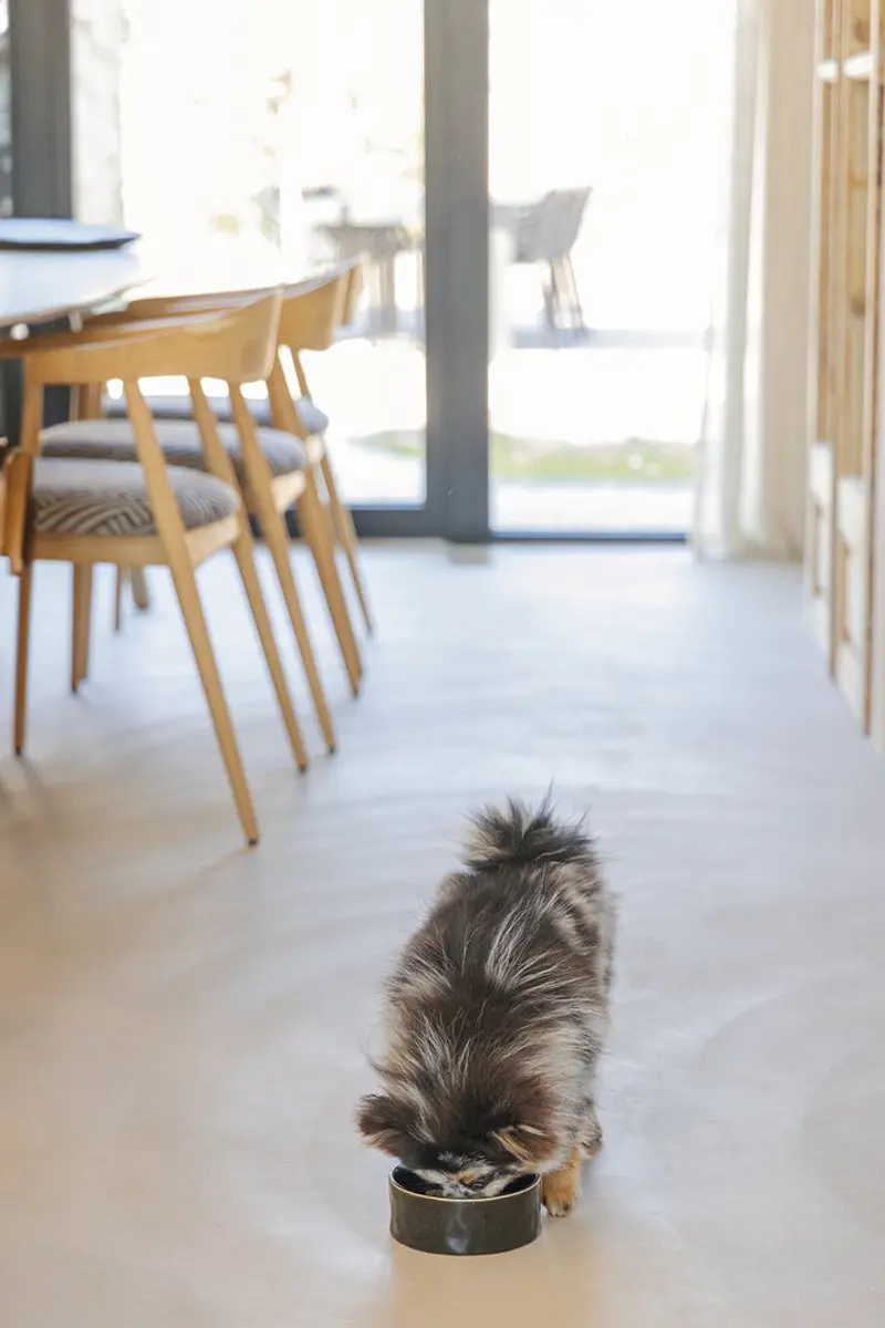 Designed by Lotte Jace Voerbak Hond Keramiek - 450ml - Zwart