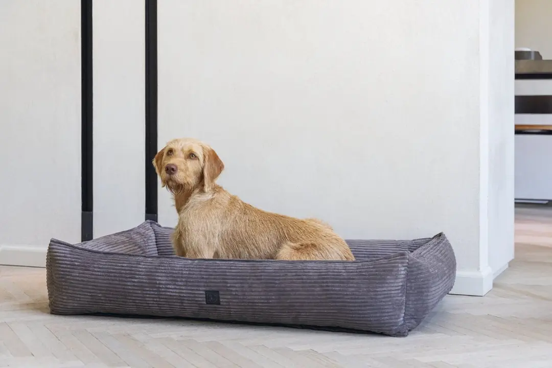 Designed by Lotte Ribbed Hondenmand - 120x80x23cm - Bruin