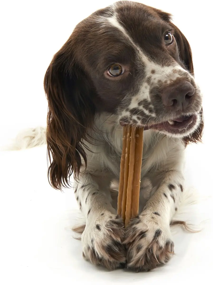 Whimzees Stix L Kauwsnacks voor Honden - 6 Stuks