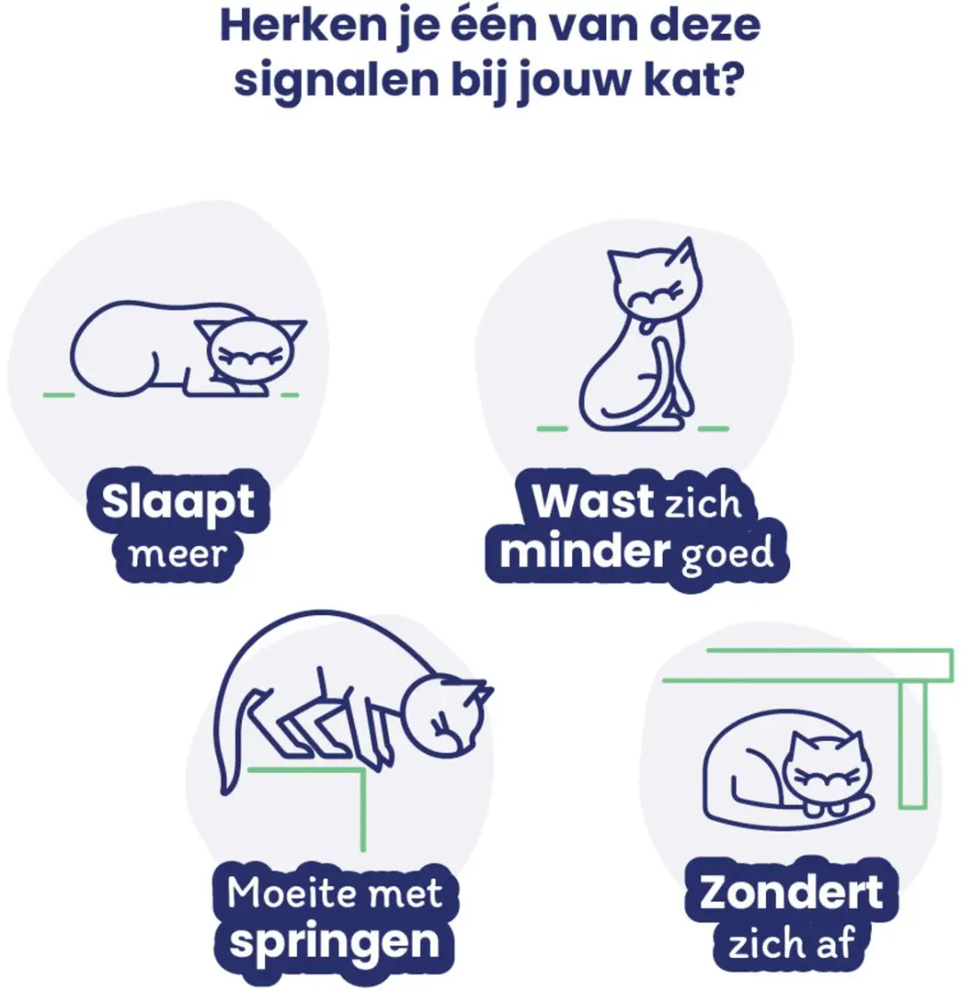 Flexadin Advanced Cat Gewrichts-Supplement 60 Stuks