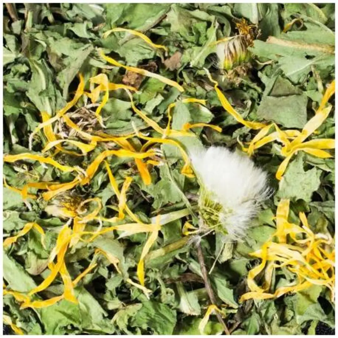 JR Farm Paardenbloemen 100g