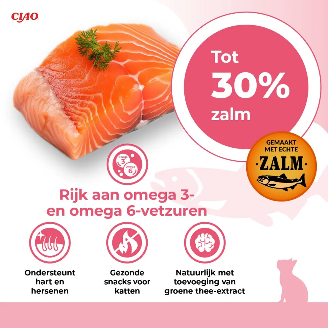 Inaba Ciao Churu Creamy Puree Kattensnack Zalm - 60x14g