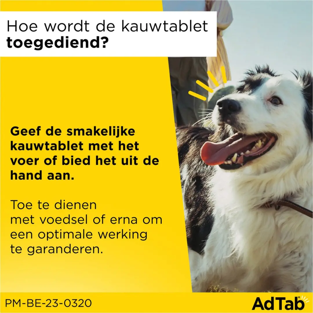Adtab Anti Vlooien & Teek Kauwtabletten Hond 56mg - 3 Stuks - afbeelding 3 van 6
