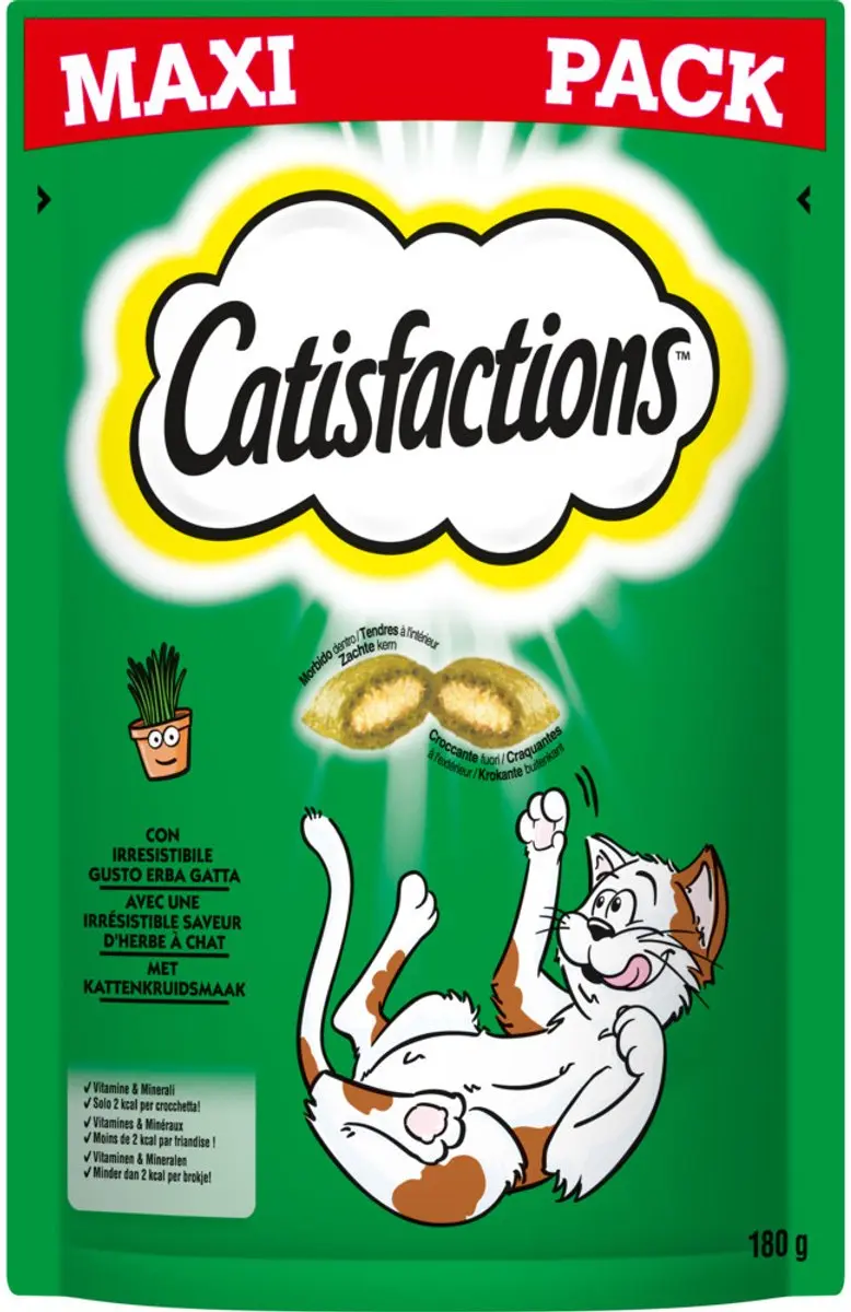 Catisfactions Catnip Maxi Pack - 180g