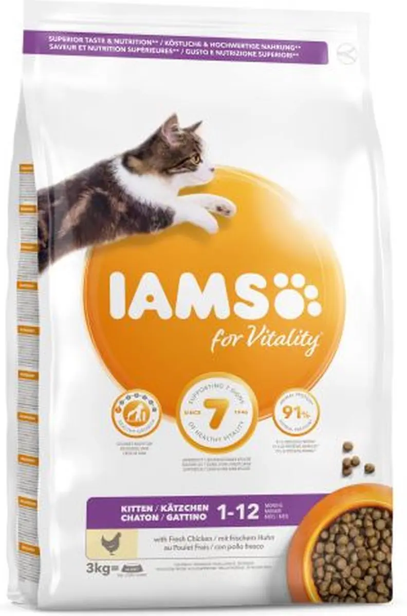 Iams Cat Kitten & Junior Kip 10kg