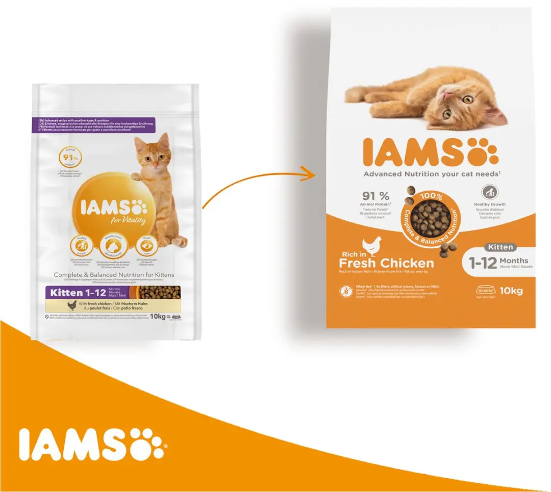 Iams Cat Kitten & Junior Kip 10kg