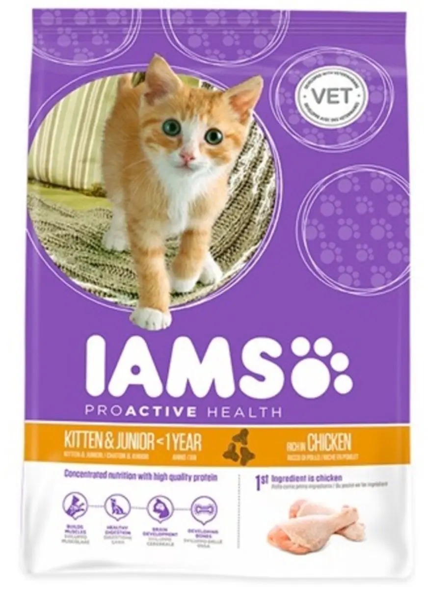 Iams Cat Kitten & Junior Kip 10kg