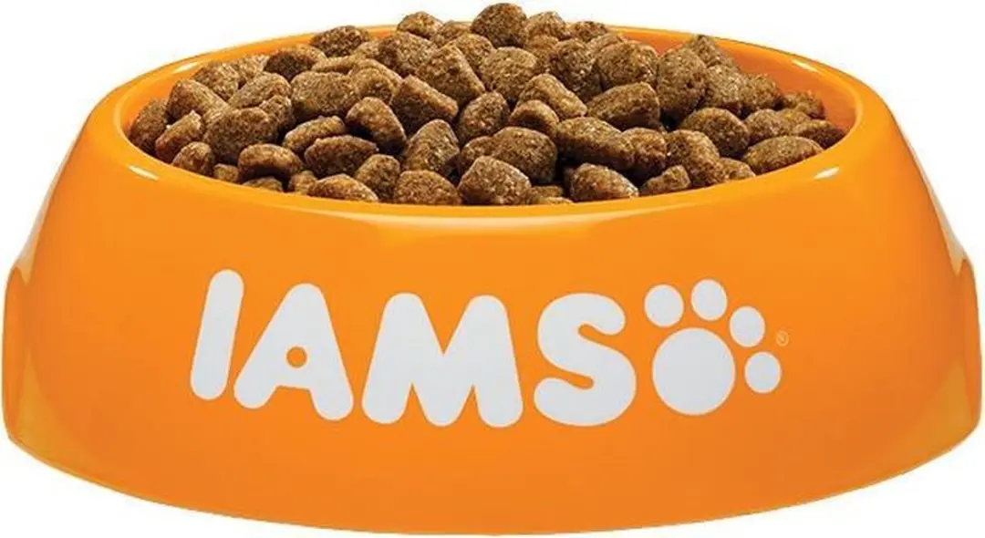 Iams Dog Puppy Junior Small Medium Kip 3kg