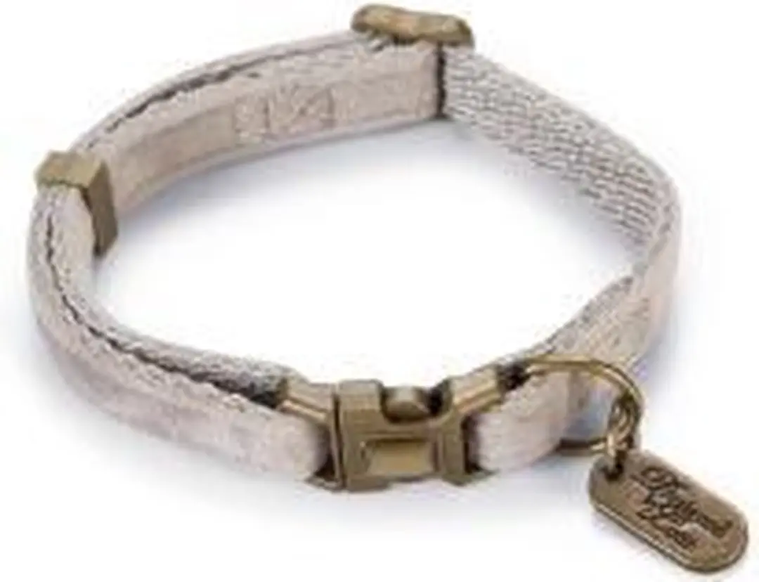 Designed by Lotte Kattenhalsband Velura